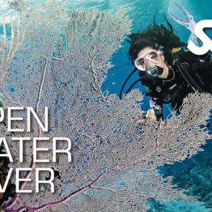 Open Water Diver – Estándar